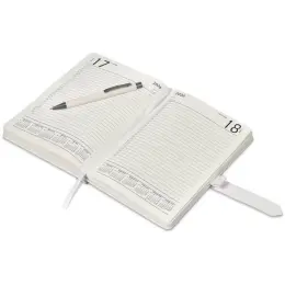 Altitude Enterprise A5 2026 Diary & Omega Pen Set Page A Day Entries